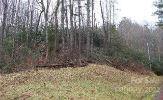 Property image 3 at Vl63 Mountain Forest Estates None, Sylva, NC 28779