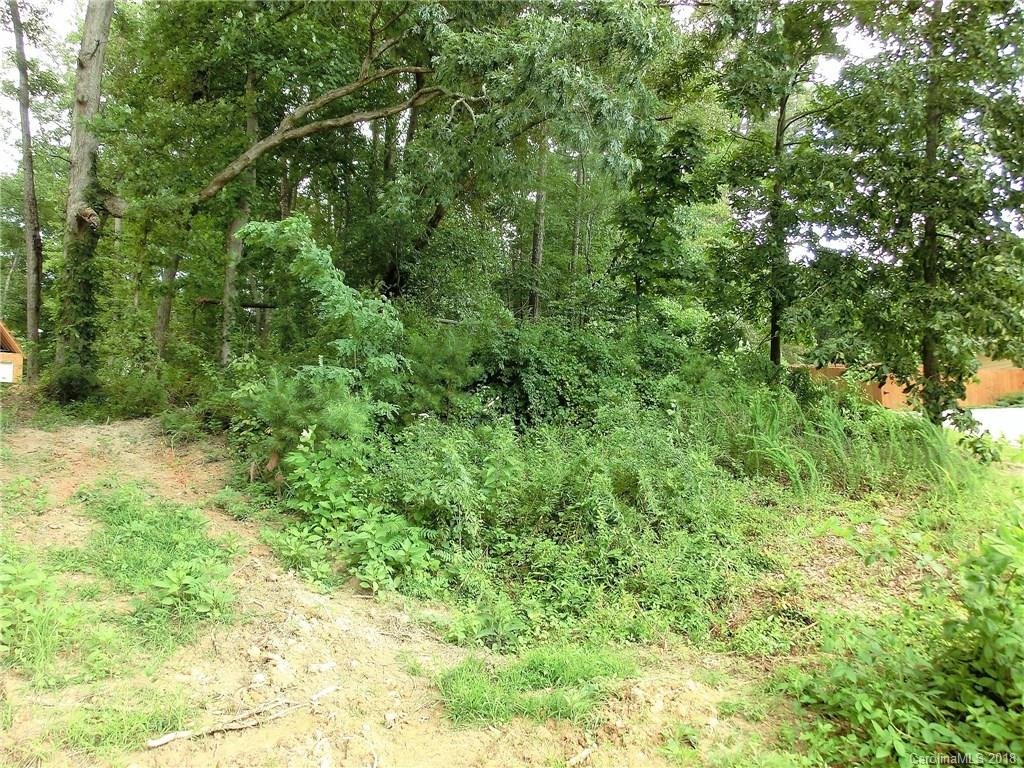 Property image 1 at 29 Farm Pond Lane, Candler, NC 28715