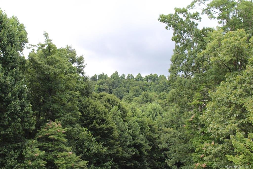 Property image 1 at 000 Ladys Fern Trail, Hendersonville, NC 28739