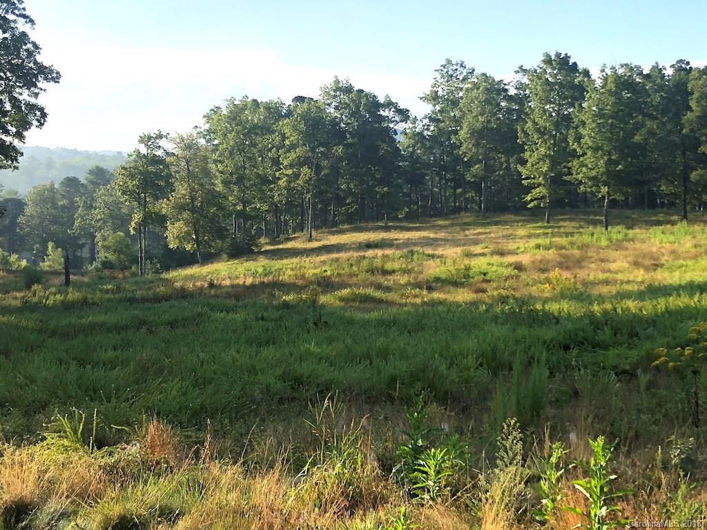 Property image 1 at L3 Stones Lake Road, Cedar Mountain, NC 28718