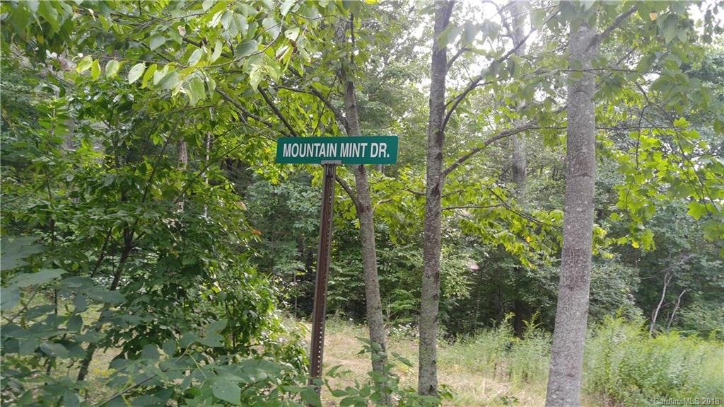 Property image 1 at 15 Mountain Mint Drive, Swannanoa, NC 28778