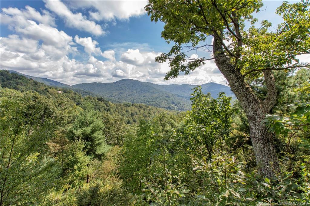 Property image 1 at Tbd Black Oak Drive, Asheville, NC 28804