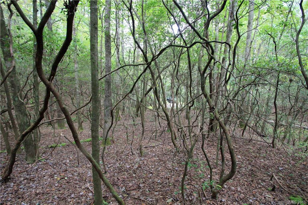 Property image 1 at 13 Double Creek Drive, Brevard, NC 28712