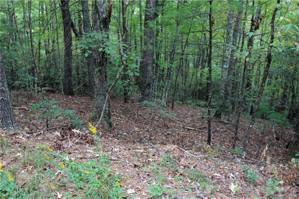 Property image 1 at 11 Oakwood Drive, Brevard, NC 28712