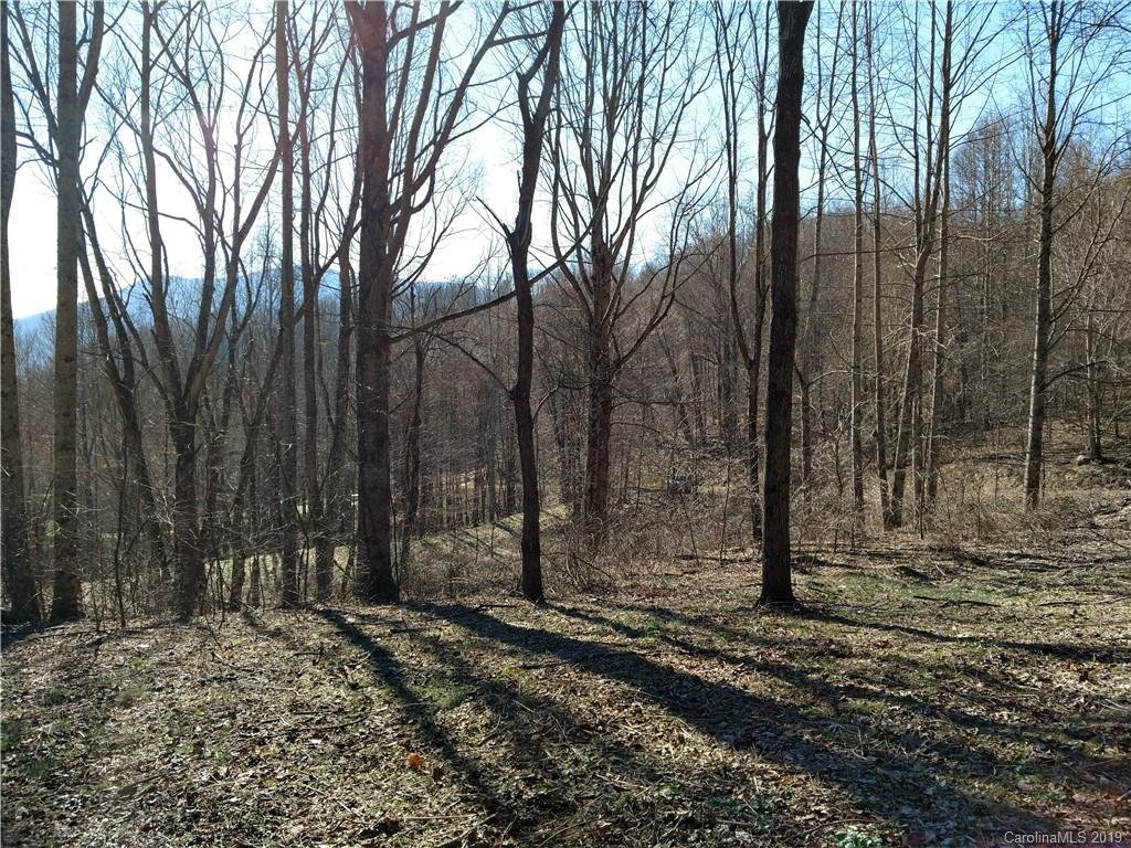 Property image 1 at Lot 5 Sage Lane, Waynesville, NC 28785