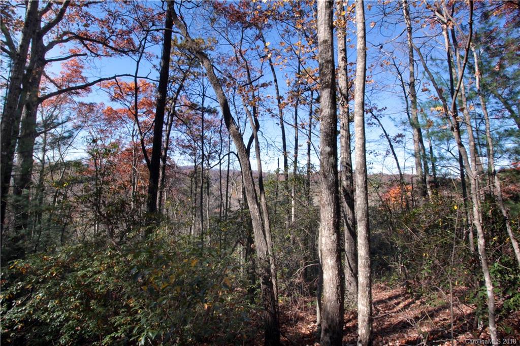 Property image 1 at Lot 37 West View Road, Brevard, NC 28712