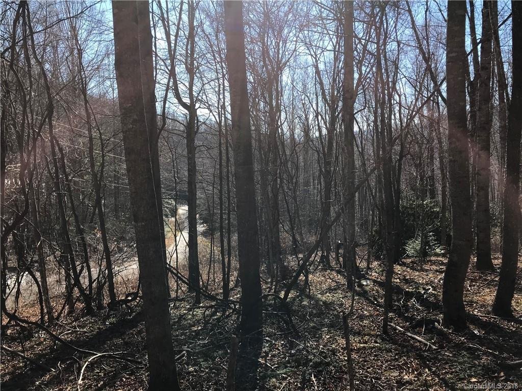 Property image 1 at 60 Section 4 Bald Creek Road, Clyde, NC 28721