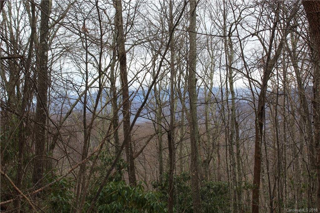 Property image 1 at 5 7 Mountain Mint Drive, Swannanoa, NC 28778