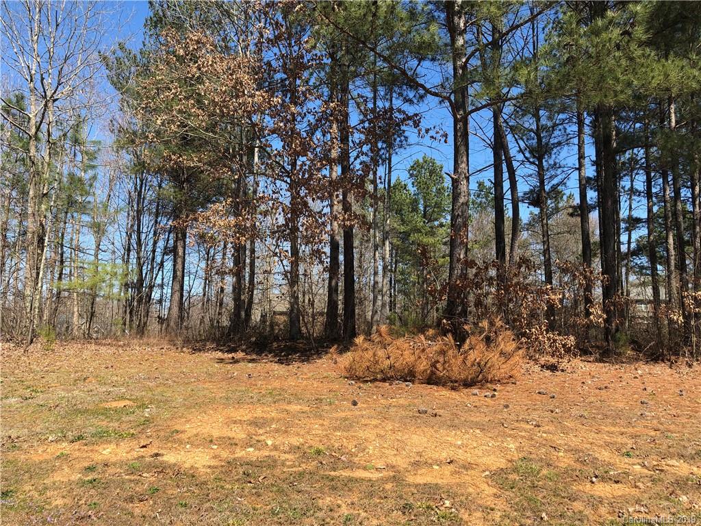 223 Winter Flake Drive