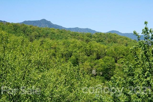 Property image 1 at 000 Winterstar Loop, Burnsville, NC 28714