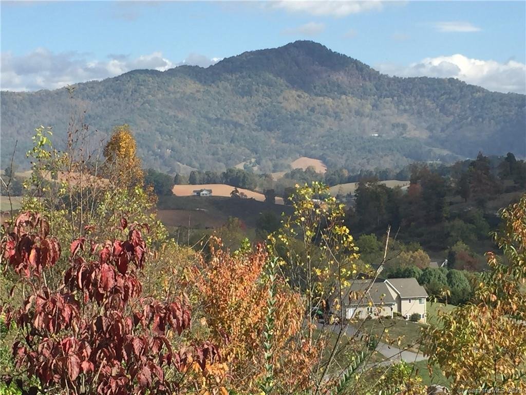 Property image 1 at Lot No 20 Frank Davis Road, Waynesville, NC 28785