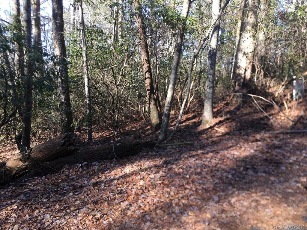 Property image 1 at Tbd Wildwood Drive, Lake Toxaway, NC 28747