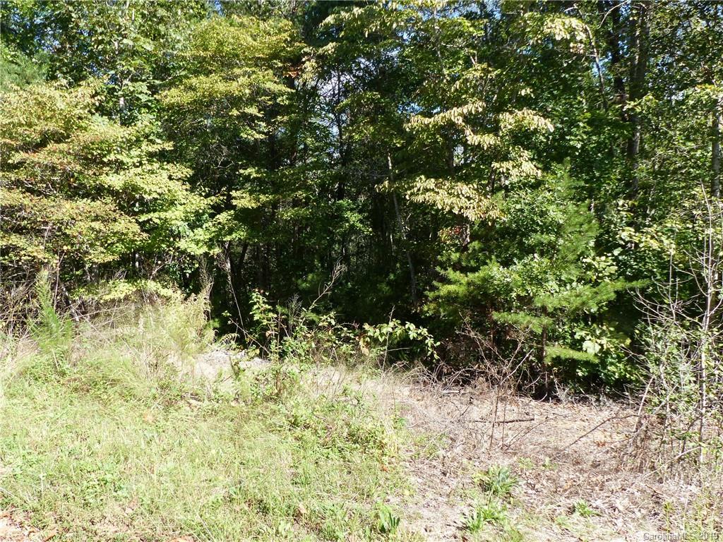 Property image 1 at 0 Greenhill Farms Drive, Rutherfordton, NC 28139