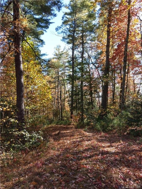 Property image 1 at 000 Dogwood Circle, Penrose, NC 28766