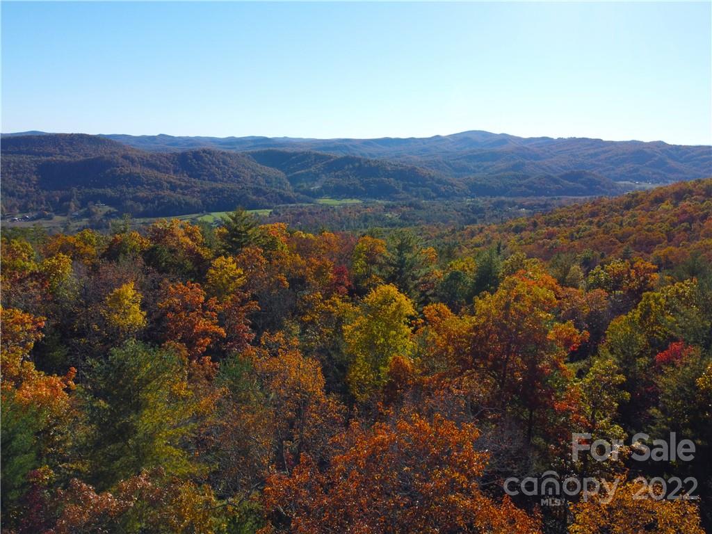 Property image 1 at 000 Dogwood Lane, Penrose, NC 28766