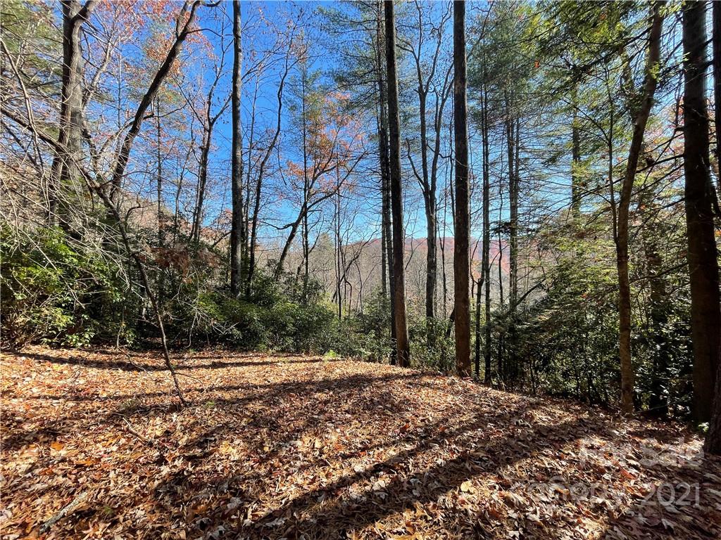 Property image 1 at 128 Twisted Tree Lane, Brevard, NC 28712