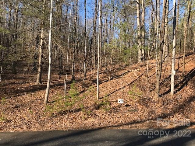 Property image 1 at 0 Lakewood Drive, Lake Lure, NC 28746