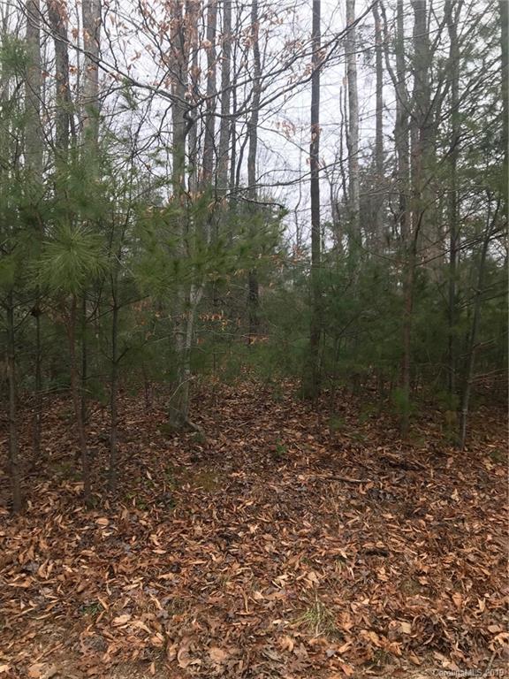 Property image 1 at 9999 N Ridgeview Hill Drive, Hendersonville, NC 28792