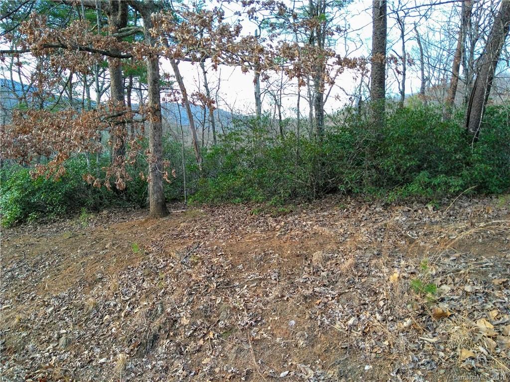 Property image 1 at 0 Starling Road, Lake Lure, NC 28746