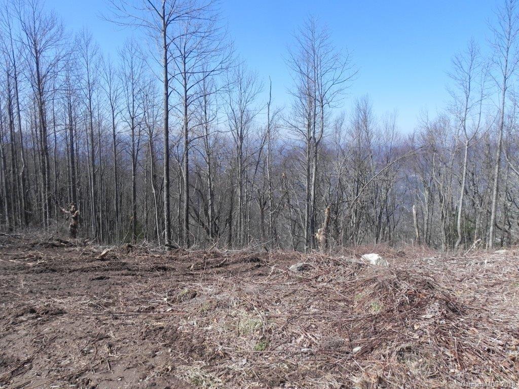 Property image 1 at 9999 Ebby Ridge Drive, Fairview, NC 28730