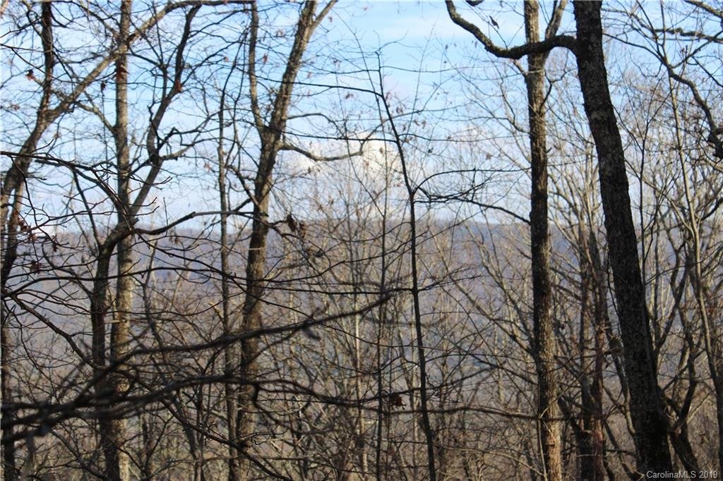 Property image 1 at 77 Oak Laurel Road, Brevard, NC 28712