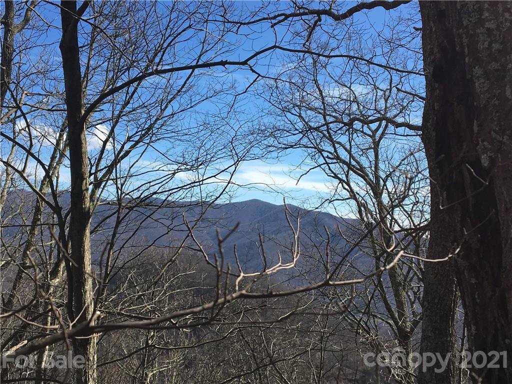 Property image 1 at 21 Reillys Bluff Road, Barnardsville, NC 28709