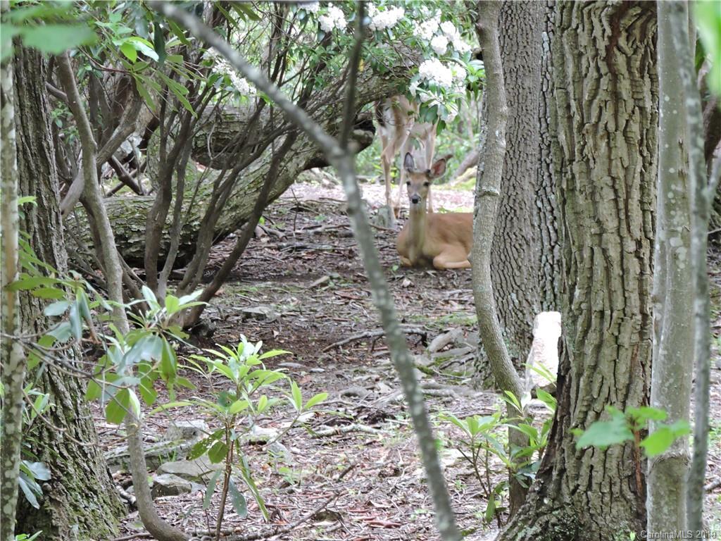 Property image 1 at 0 Celo Heights Way, Burnsville, NC 28714