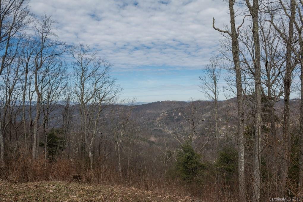 Property image 1 at 45 Mt Meadows Boulevard, Asheville, NC 28804