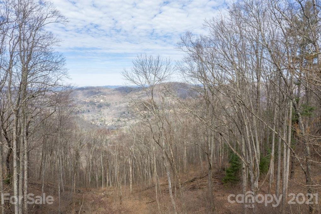 Property image 1 at 15 Mt Meadows Boulevard, Asheville, NC 28804