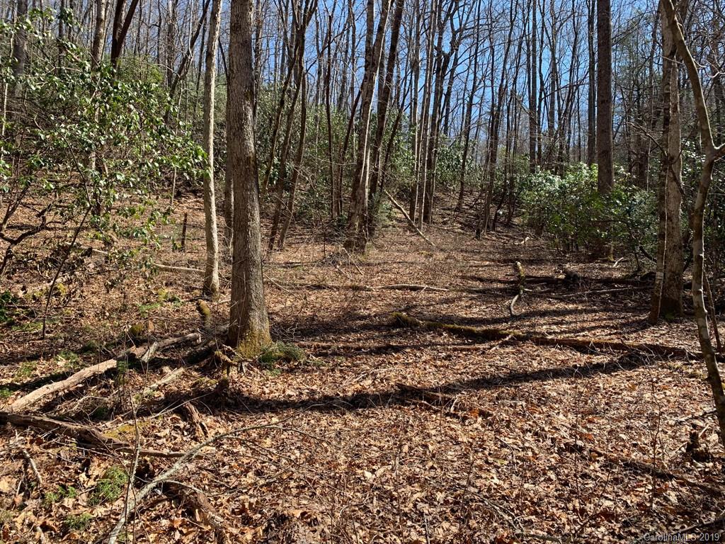 Property image 1 at 00 Steel Creek Road, Brevard, NC 28712