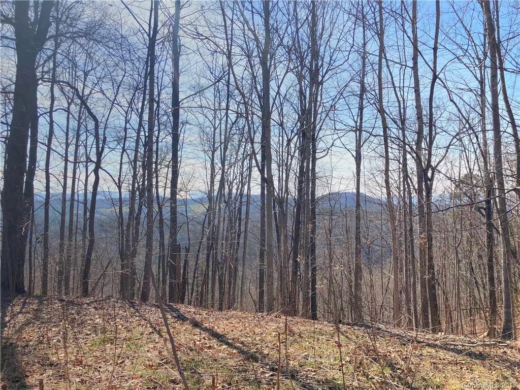 Property image 1 at 467 Overlook Park Drive, Hendersonville, NC 28792