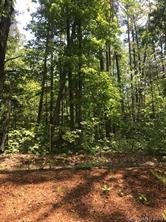 1396 Ron Whicker Drive