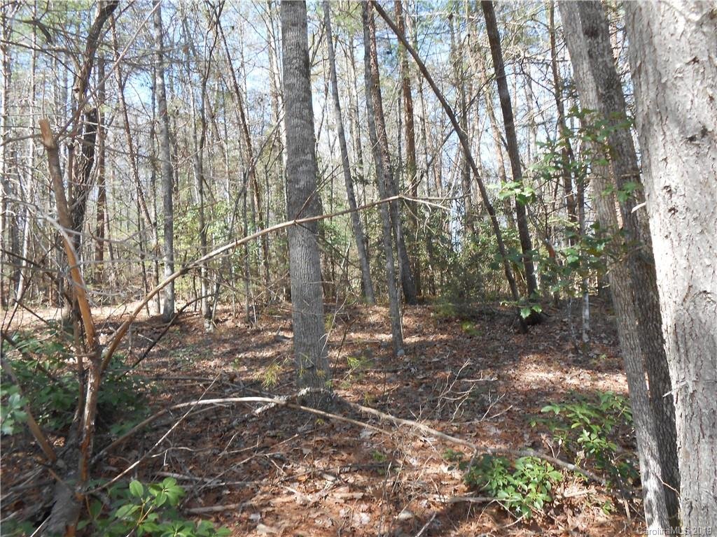 Property image 1 at V L James View Road, Marion, NC 28752