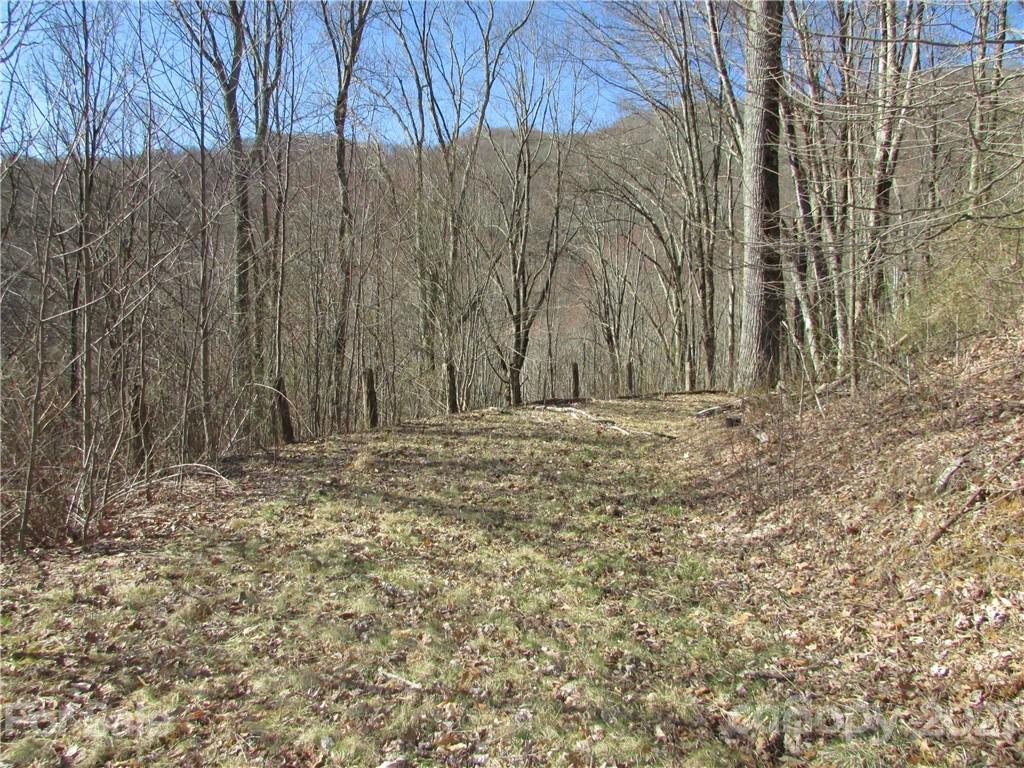 Property image 1 at 0 Running Bear Road, Hot Springs, NC 28743