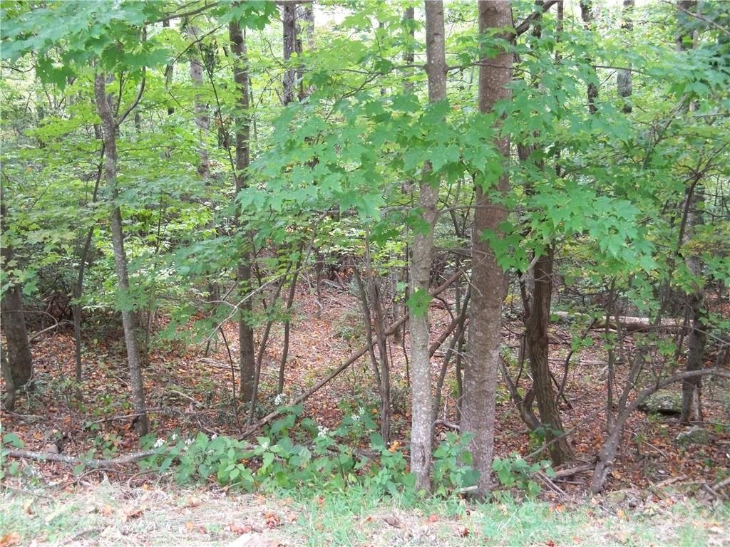 Property image 1 at 00 Arrowhead Trail, Columbus, NC 28722