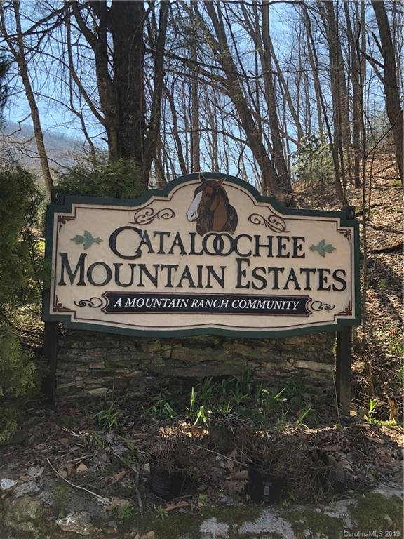 Property image 1 at 509 Curry Comb Trail, Waynesville, NC 28785