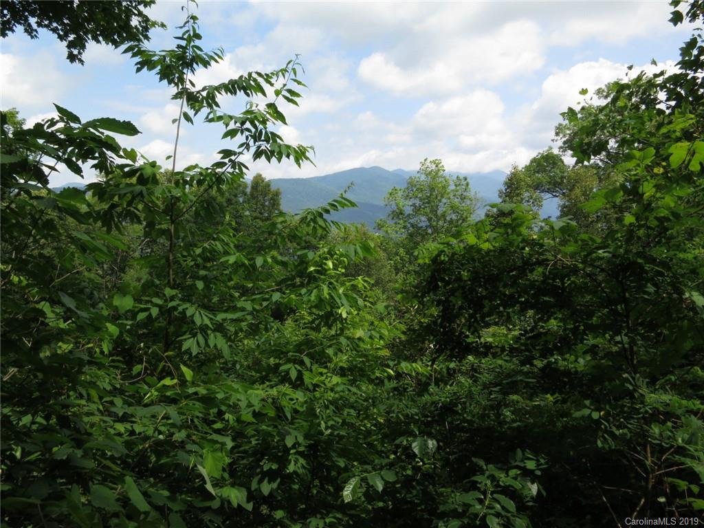 Property image 1 at 000 Wildflower Cove Road, Swannanoa, NC 28778
