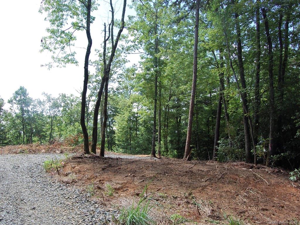 Property image 1 at 75 Dogwood Court, Penrose, NC 28774