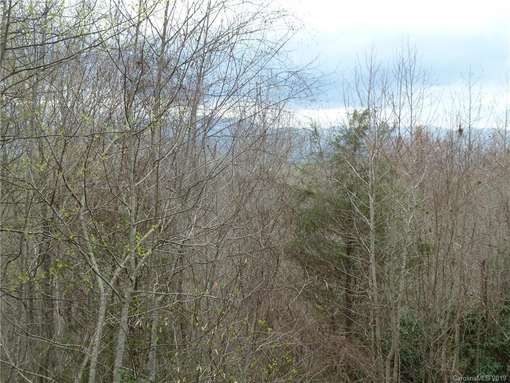 Property image 1 at 6 Falls View Drive, Pisgah Forest, NC 28768
