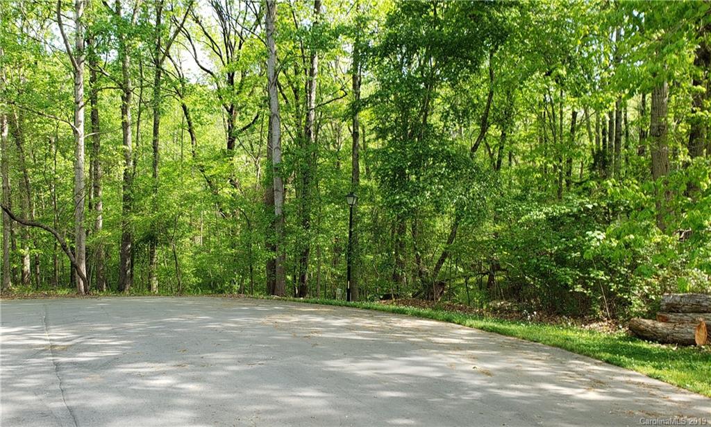 Lot 113 Stallion Court