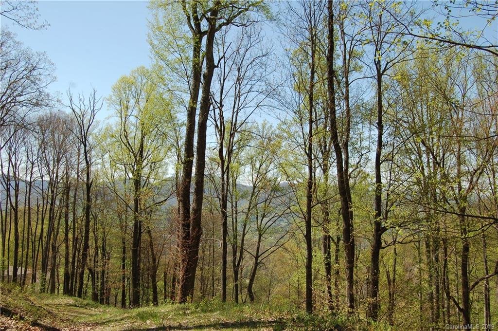 Property image 1 at 111 Vizsla Way, Waynesville, NC 28786