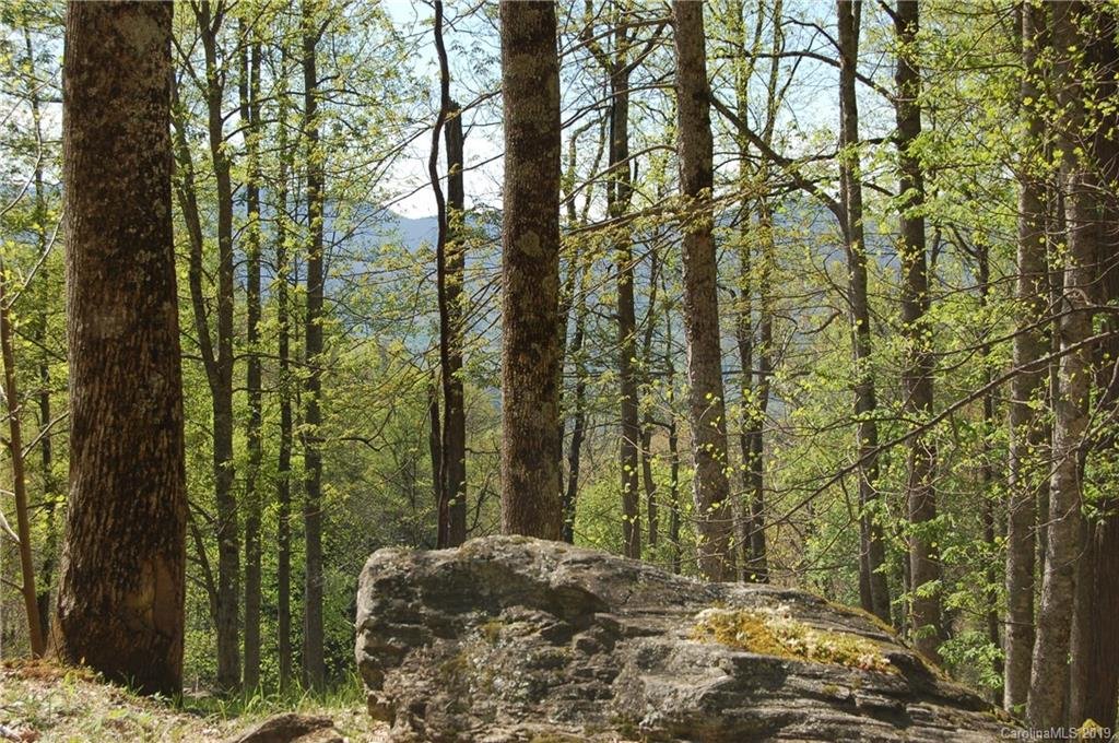 Property image 1 at 59 Vizsla Way, Waynesville, NC 28786