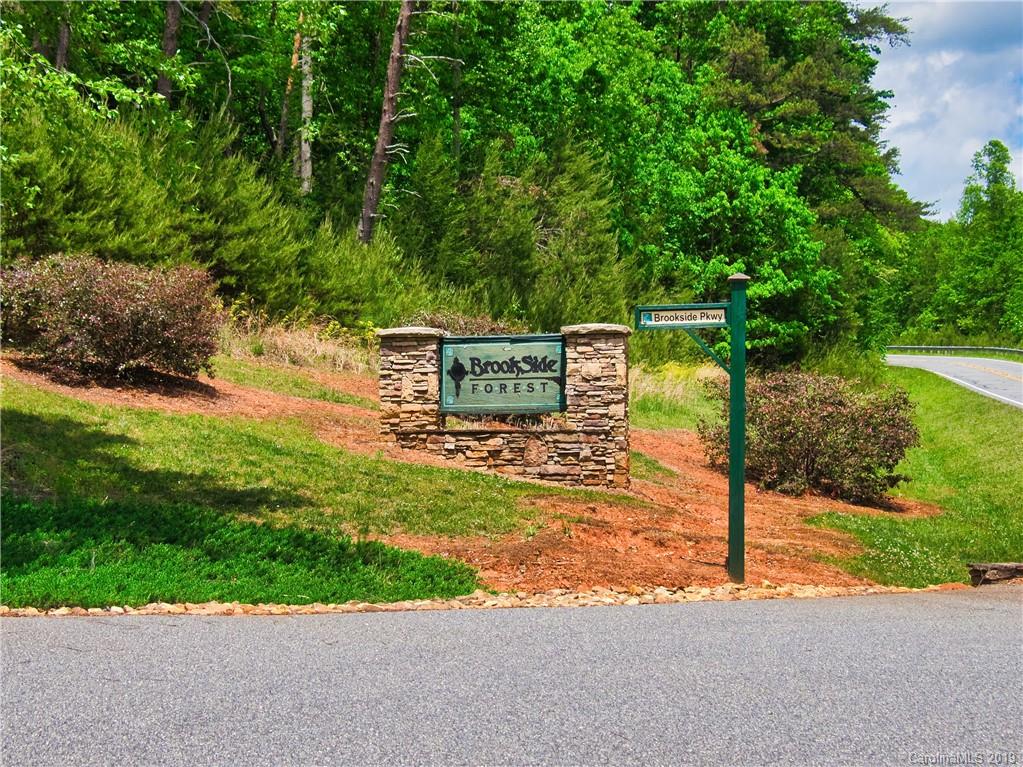 Property image 1 at Lot 23 Brookside Parkway, Lake Lure, NC 28746
