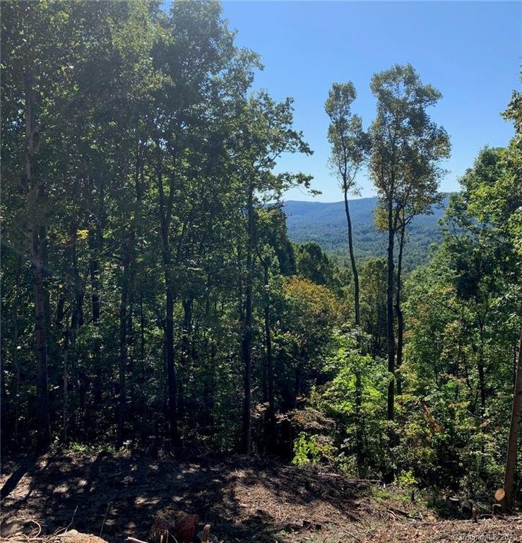 Property image 1 at 0 Roberts Drive, Hendersonville, NC 28739