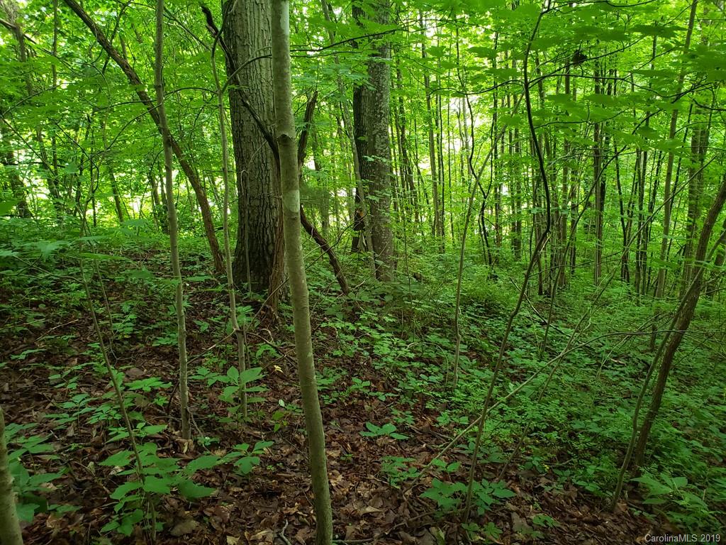 Property image 1 at 00 Ruffed Grouse Lane, Waynesville, NC 28786