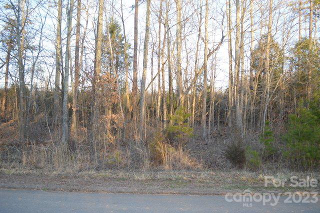 Property image 1 at 1075 Churchfield Lane, Rockwell, NC 28138