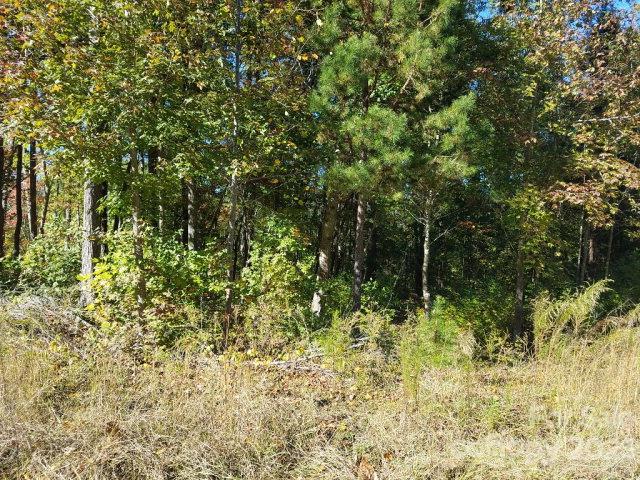 Property image 1 at 1077 Shawnee Trail, China Grove, NC 28023