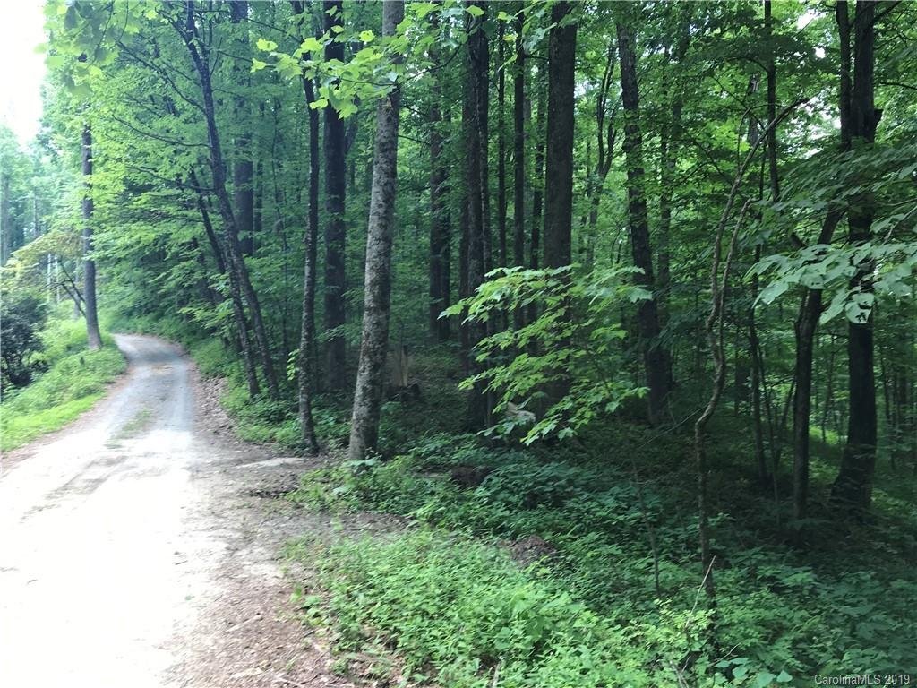 Property image 1 at 330 Lynn Crest Drive, Brevard, NC 28712