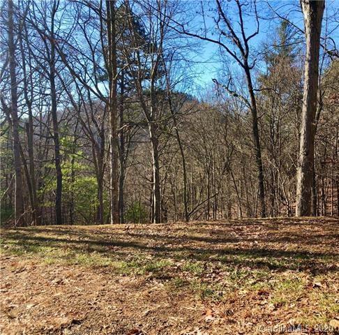 Property image 1 at 46 Starling Pass, Asheville, NC 28804