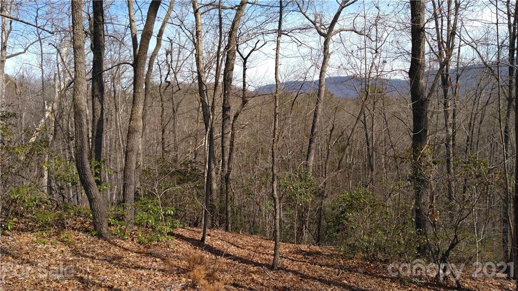 Property image 1 at Lot 24 Crooked Creek Estates, Old Fort, NC 28762